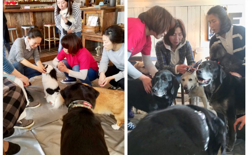 18年12月8日開催 うちのわんこの体調チェック セミナー 終了しました 犬の鍼灸治療 犬のクリニックそら 神奈川県藤沢市
